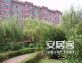 唐园二手房,宜居社区房源精选与市场分析