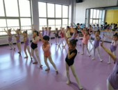 舞蹈学习学校,舞蹈学习学校的魅力之旅