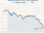 建信优势基金,稳健增长，多元化投资策略解析”
